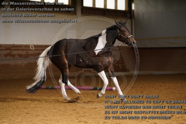 s_K3F01768.JPG